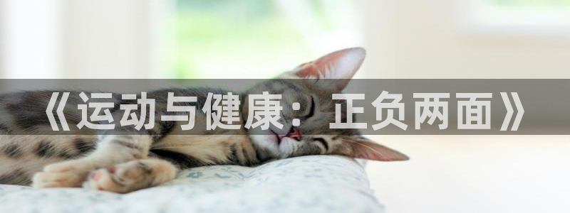 bbin视讯游戏平台