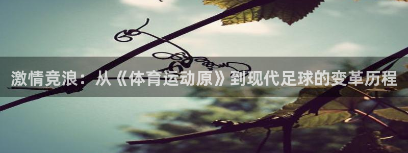 bbin视讯下：激情竞浪：从《体育运动原》到现代足球的变革历程