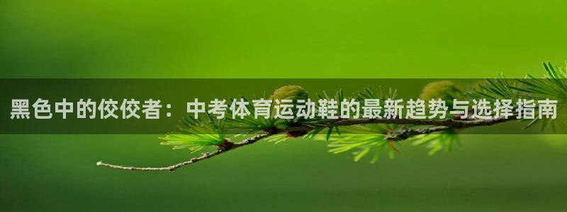 bbin视讯下：黑色中的佼佼者：中考体育运动鞋的最新趋势与选择指南