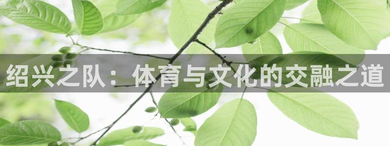 bbin视讯游戏平台：绍兴之队：体育与文化的交融之道