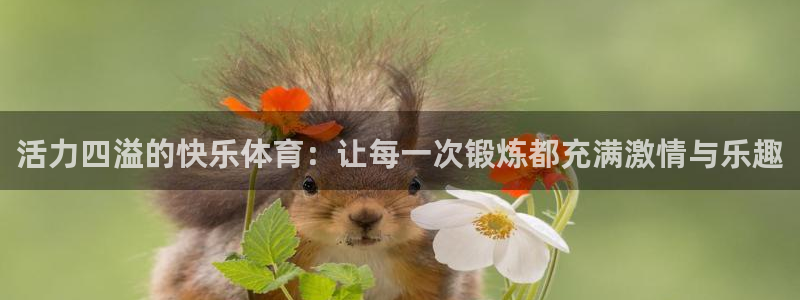 bbin视讯下：活力四溢的快乐体育：让每一次锻炼都充满激情与乐趣