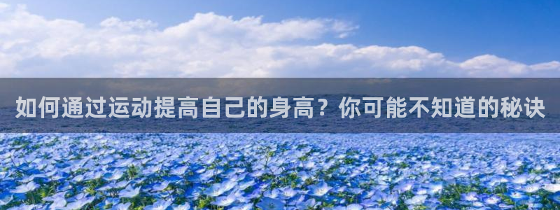 bbin视讯下
